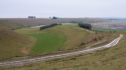 view of the up-faulted Southern edge of Pewsey Vale with copse woodland in the valley near Pewsey, Wiltshire