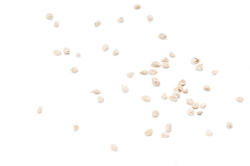 group of tomato seeds isolated on white background. tomato sowing cut out