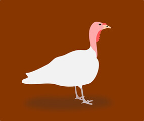 turkey on brown background