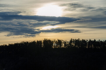 A forest silhouette in the sunset