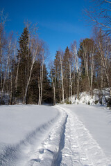 snowshoe trail, Winter landsacape on the forest