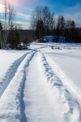 Fototapeta na wymiar Snowmobile trail, Winter landsacape on the forest