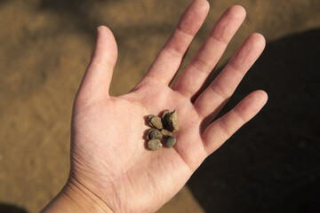 大人の手・左手・小石・アップ