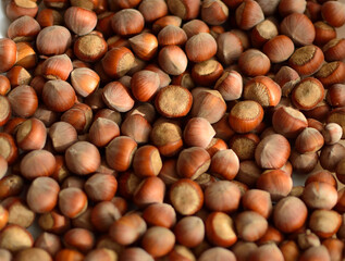 Hazelnuts. Stack of hazelnuts. Food background. Hazelnut background
