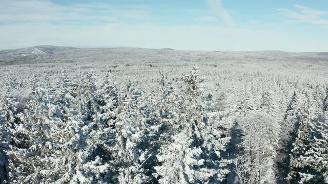 Panoramic aerial view of snow covered forest with Rogla ski resort in far background, Pohorje, Slovenia