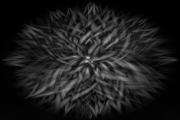 abstract black and white background in the form of a flower