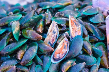 Lots of fresh mussels