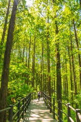 안산자락길 산책
