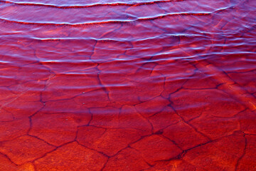 Red waters of the Rio Tinto, coloured by dissolved minerals, primarily