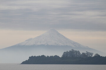 mountain and blossoms