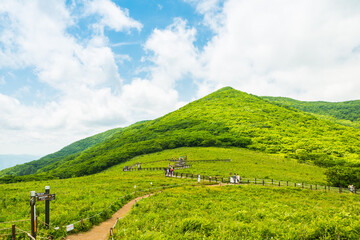 곰배령 봄풍경
