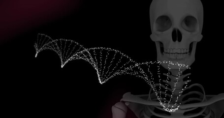 Digital animation of dna structure spinning against human skeleton model on black background - Powered by Adobe