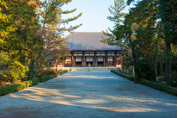 【奈良県】唐招提寺 金堂