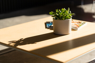 flowers on a table