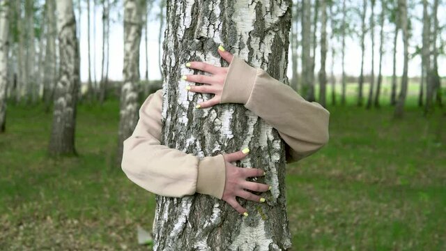 A young woman hugs a birch. The girl is worried about nature and shows love for her.