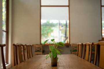 decorative plants in vases on long wooden table 