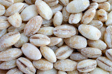 Closed up dry organic barley seeds ready to cook, for carbohydrate or clean food ingredient concept