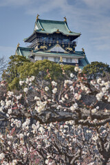 大阪城と白梅