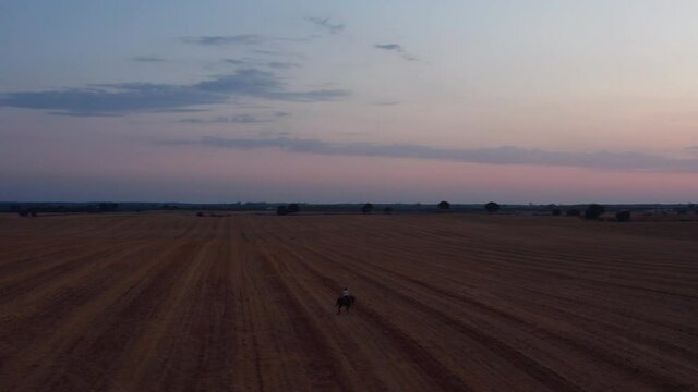 Aerial circling shot of horsewoman riding horse in full speed on harvested field after sunset in evening.