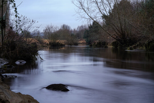 river in the forest