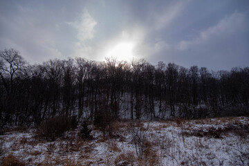 Sun shining through trees on winter day in Hamilton, Canada. Blue cloudy sky