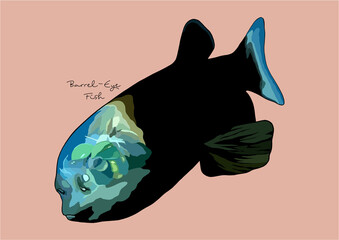 Vector Illustration of Barrel-Eye Fish
