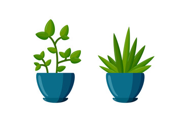 Potted plants set. Green succulent plants in cartoon style. Vector illustration isolated on white background