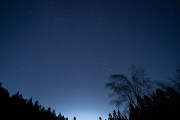 starry night sky with tree