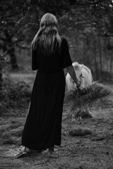 A girl in a black dress with a white horse at sunset on the background of a haystack