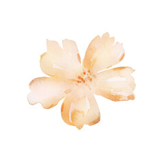 Fototapeta na wymiar Watercolor delicate beige blooming flower