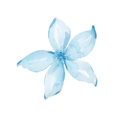 Watercolor delicate blue blooming flower