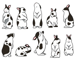 お立ちウサギ　短耳　ブロークンセット