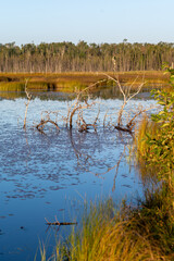 Beautiful Rocky Mountains