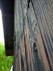 old wooden door