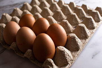 Six eggs on a tray