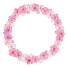 レトロな水彩　桜のリースのベクター素材　ソメイヨシノ　花見　和風　和柄　昭和レトロ　入学　卒業