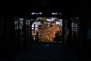 autumn  leaves from the window in temple