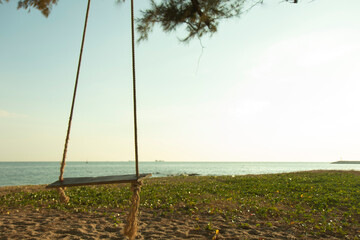 Plank swings hang from trees on the sandy beach. With a background of blue sea and sky