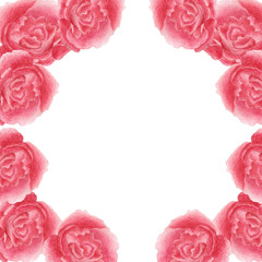 roses frame watercolor pencil illustration blank for a holiday card women's day March 8 blank space white background