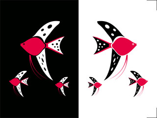 high contrast card manfish Pterophyllum scalare fish