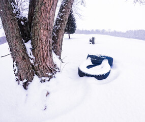 Fresh snow on Farmlands with an Old Oaktree and truck tires laying in the snow. Tree-lined background on a winter day. 