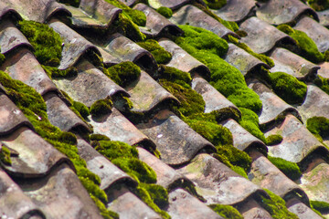 traditional roof in the village of banjarnegara indonesia