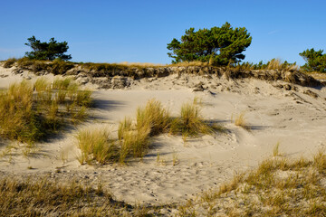 Landschaft mit D&uuml;nen und Strandseen am Dar&szlig;er Ort, Nationalpark Vorpommersche Boddenlandschaft, Mecklenburg Vorpommern, Deutschland
