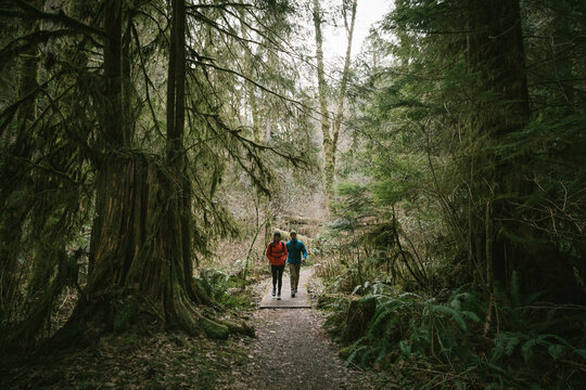 Rear view of couple walking in forest