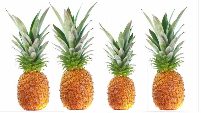 Pineapple rotation isolated on white background, fresh fruits