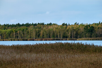 Lichtstimmung am Abend bei Barh&ouml;ft mit Blick zur Insel Bock im Nationalpark Vorpommersche Boddenlandschaft, Mecklenburg Vorpommern, Deutschland