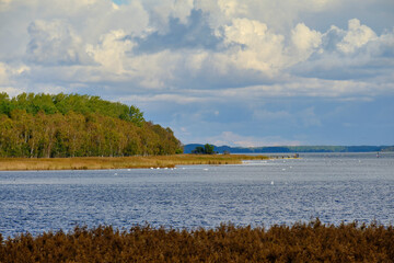 Lichtstimmung am Abend bei Barhöft mit Blick zur Insel Bock im Nationalpark Vorpommersche Boddenlandschaft, Mecklenburg Vorpommern, Deutschland