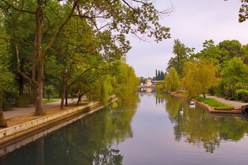 Fototapeta na wymiar Pond in a city park, swans and flowers.