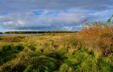 Lichtstimmung am Abend bei Zarrenzin mit Blick zur Insel Bock im Nationalpark Vorpommersche Boddenlandschaft, Mecklenburg Vorpommern, Deutschland