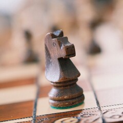 old wooden chess knight on board © FF Classic Film 